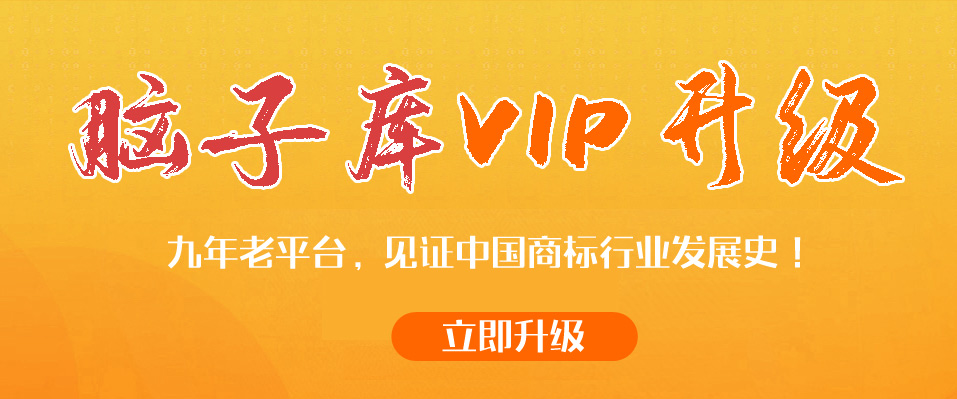 升级为VIP会员