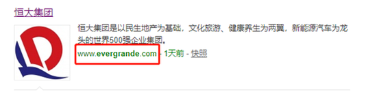 （图注：中国恒大的网站域名为www.evergrande.com）